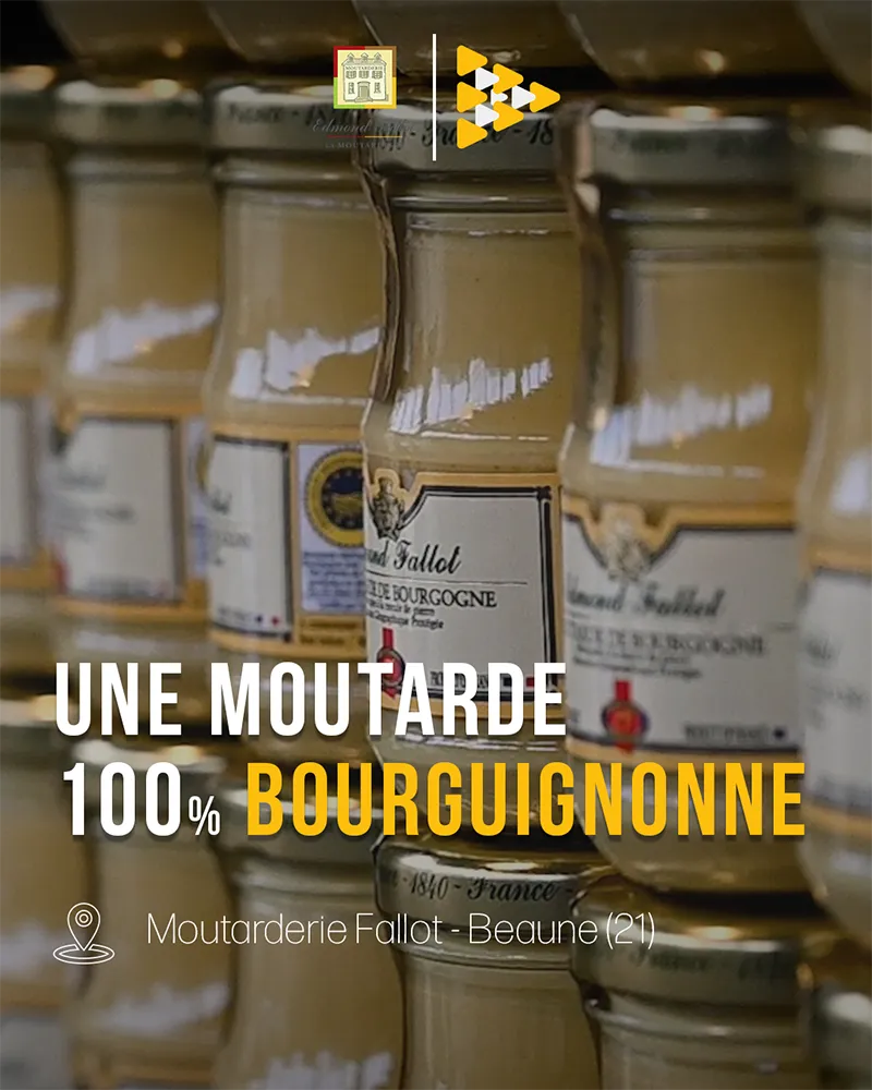 Découverte de la Moutarderie Fallot - Anecdata